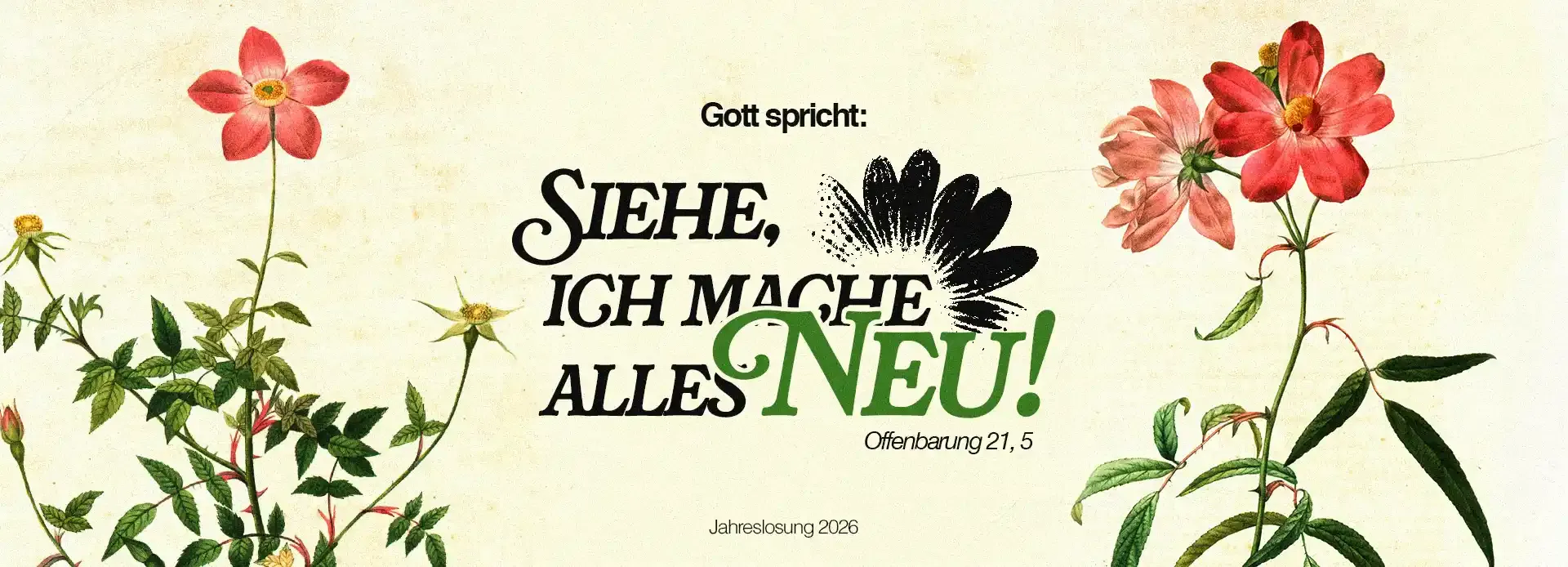 Jahreslosung 2026: Gott spricht: Siehe, ich mache alles neu! – Offenbarun 21, 5